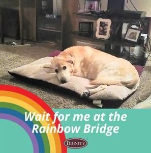 Meet your Posher, Ellie